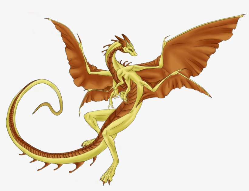 1024 X 738 5 - Sand Dragons, transparent png #9491612