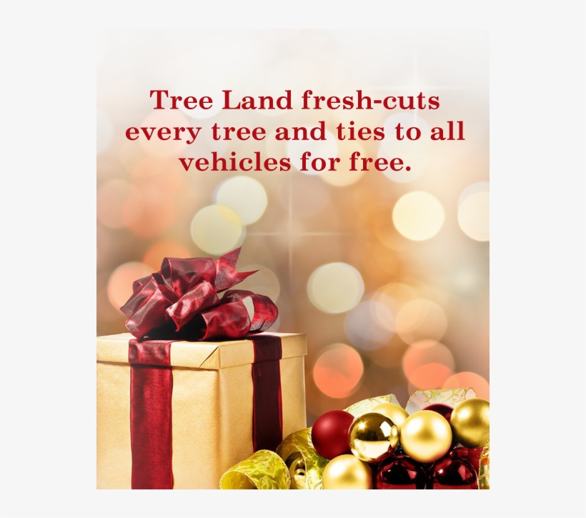 Monday Thru Sunday 9am - Newspaper Article, transparent png #9491816