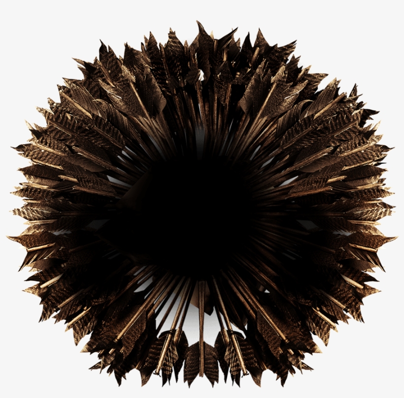 Sea Urchin, transparent png #9492737