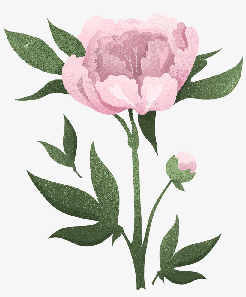 Save To Collection - Floribunda, transparent png #9492739