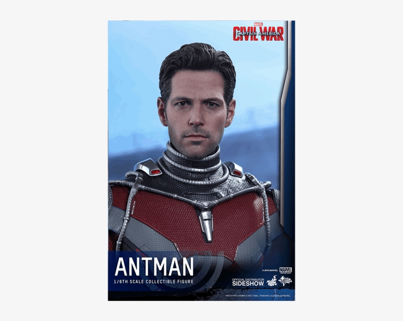 1 Of - Hot Toys Ant Man Civil Wars Head Sculpt, transparent png #9493138