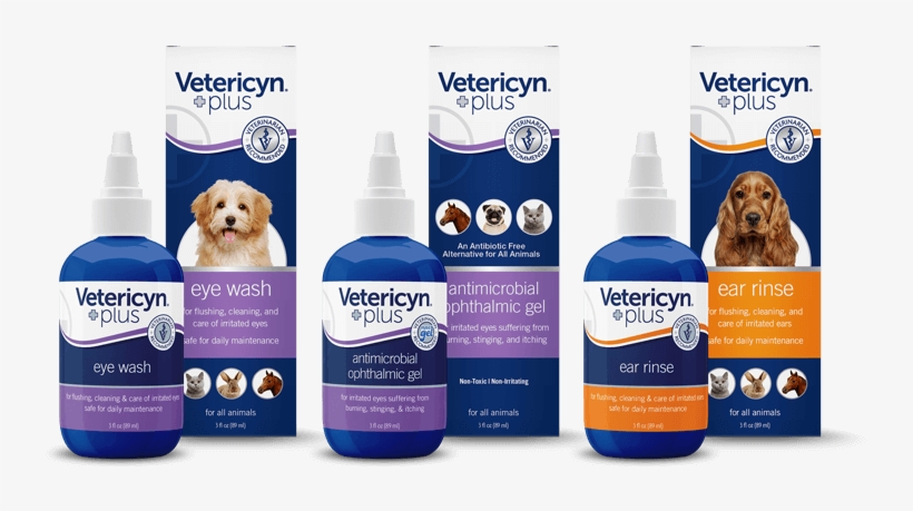 Eye & Ear Care - Companion Dog, transparent png #9493818