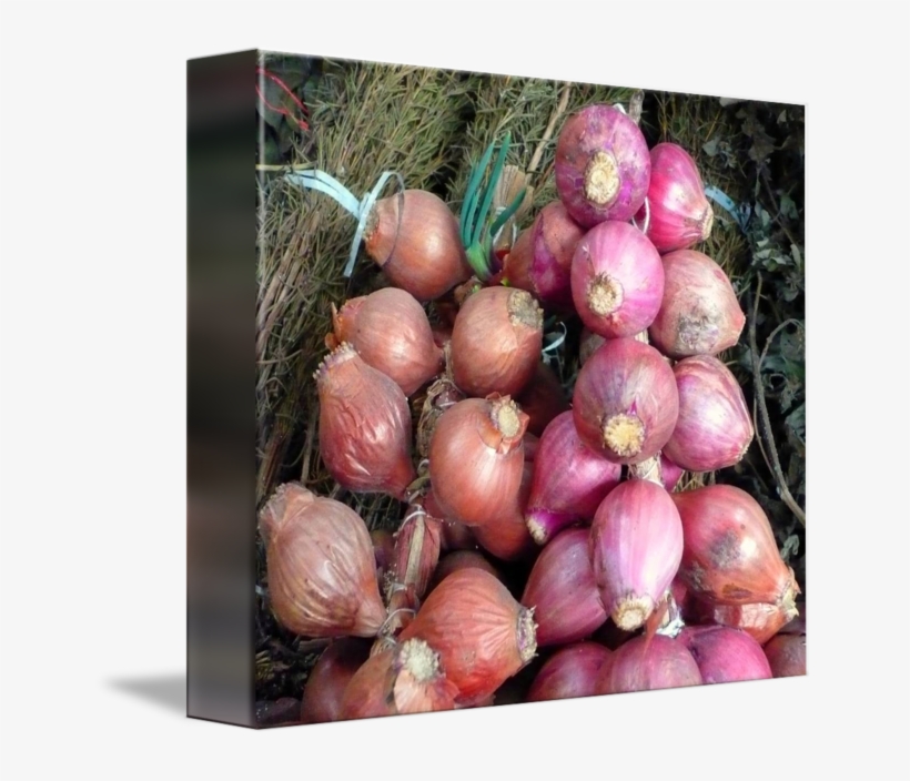 Svg Cebollas Onions By Marcos Granda - Red Onion, transparent png #9494107