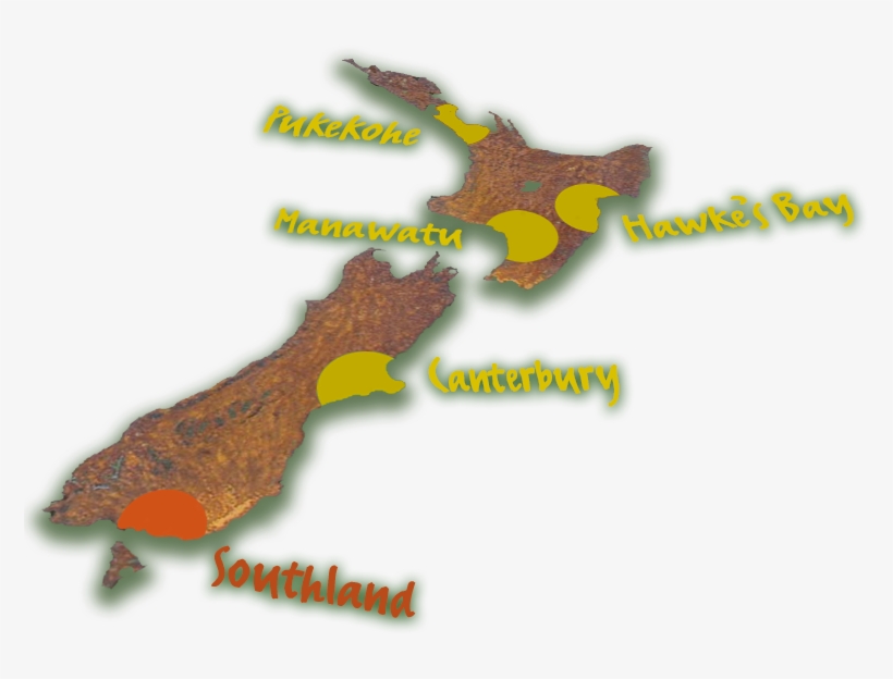 Harvest Fresh Growing Onions And Carrot Regions Of - Harvest In New Zealand, transparent png #9494184