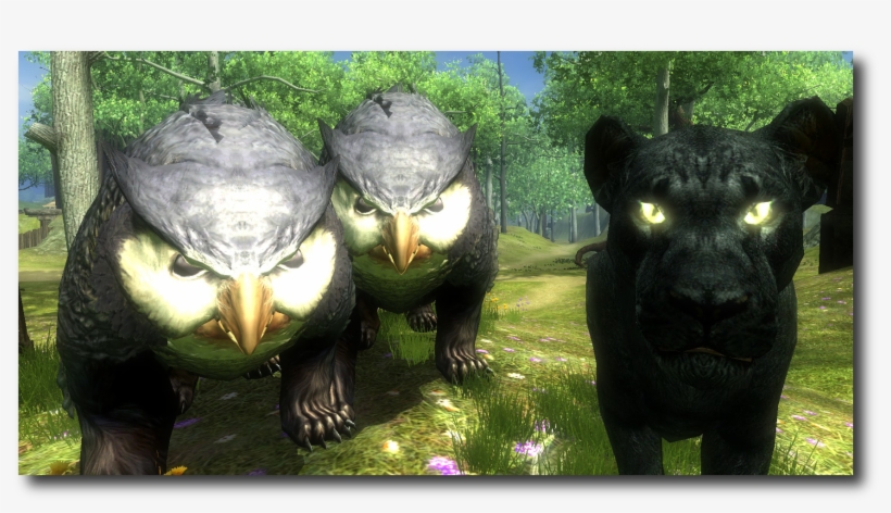 The Gold Seal Gang - Ddo Owlbear, transparent png #9495203