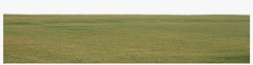 Pasto Y Estadios Png Para Walls - Grass, transparent png #9496352