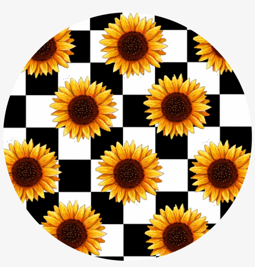 Sunflowers Sticker - Aesthetic Sunflower, transparent png #9496857