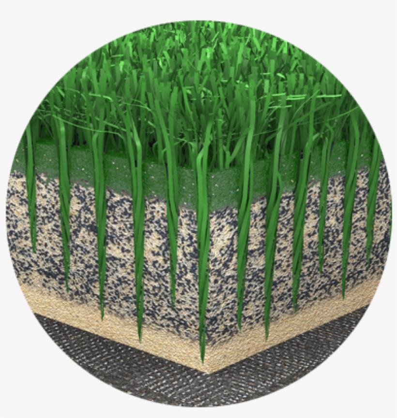 Low Temperature - Picket Fence, transparent png #9497970