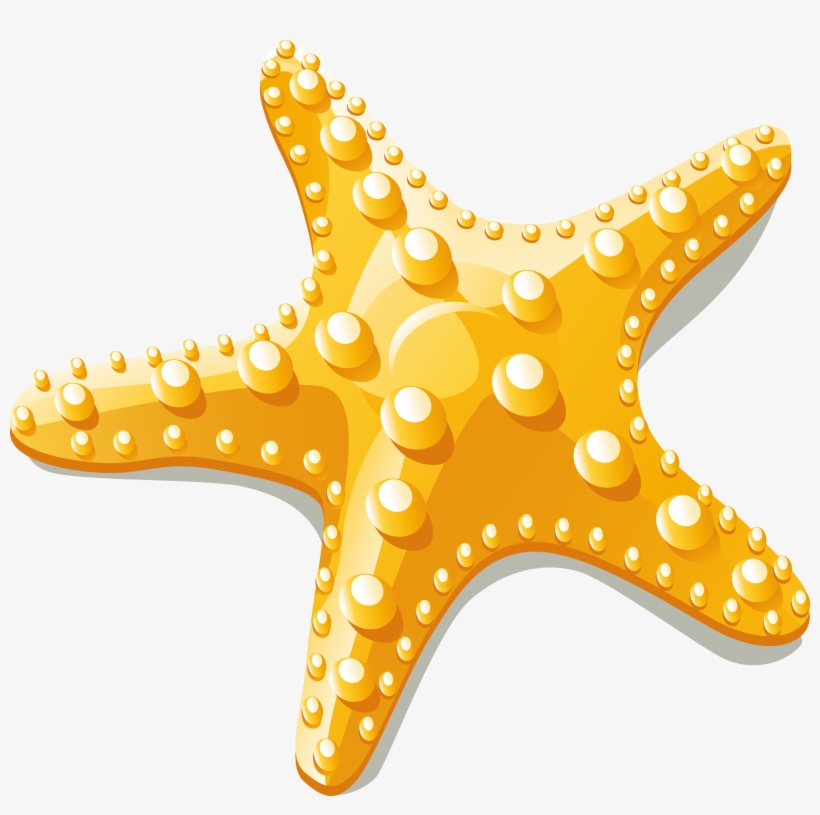 Starfish Euclidean Vector Clip Art - Starfish Vector Png, transparent png #9498655