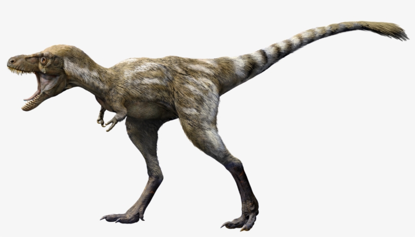 A 4 Year Old T - Velociraptor, transparent png #9499265