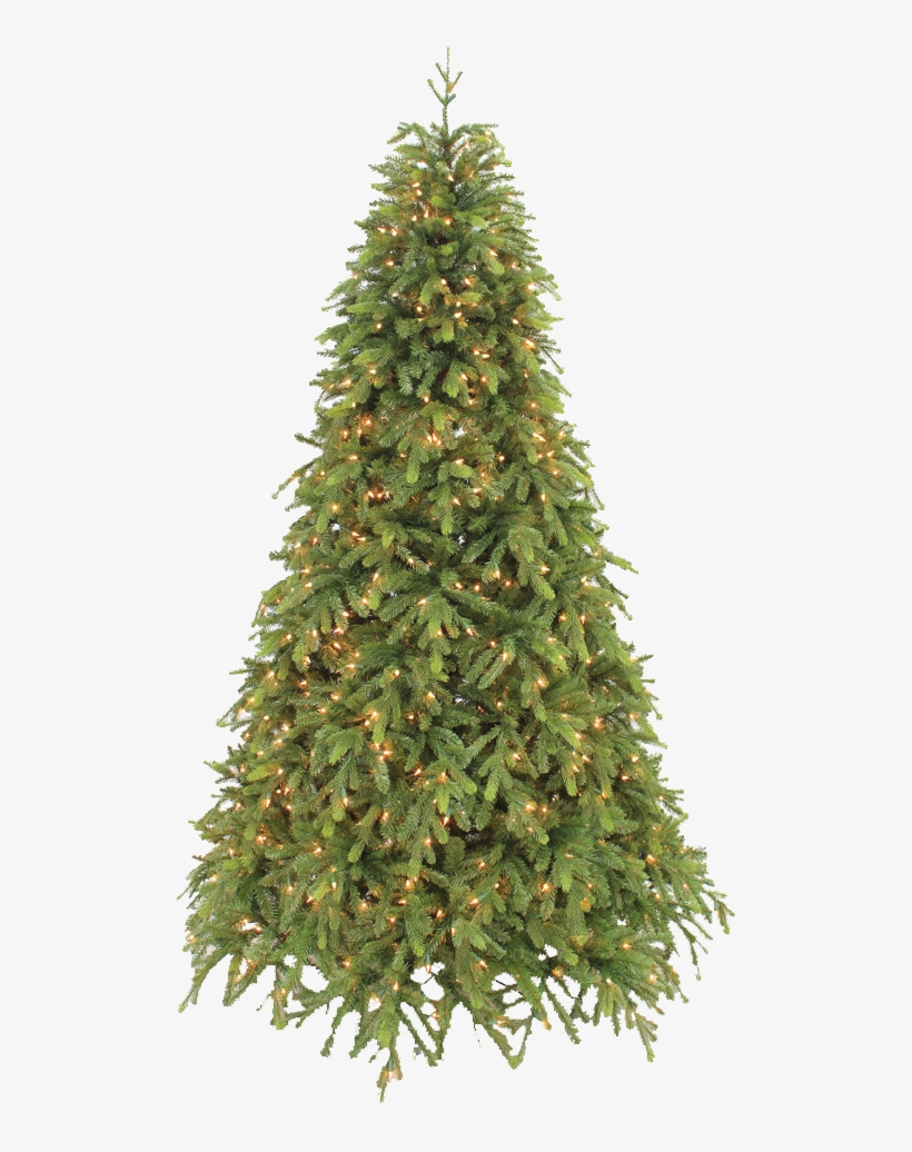 Hand-crafted Christmas Trees - 7ft Slim Christmas Trees, transparent png #9499792