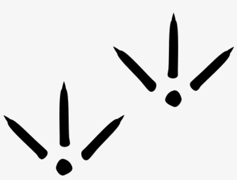 Bird Thin Footprints Vector - Bird Footprint Png, transparent png #950109