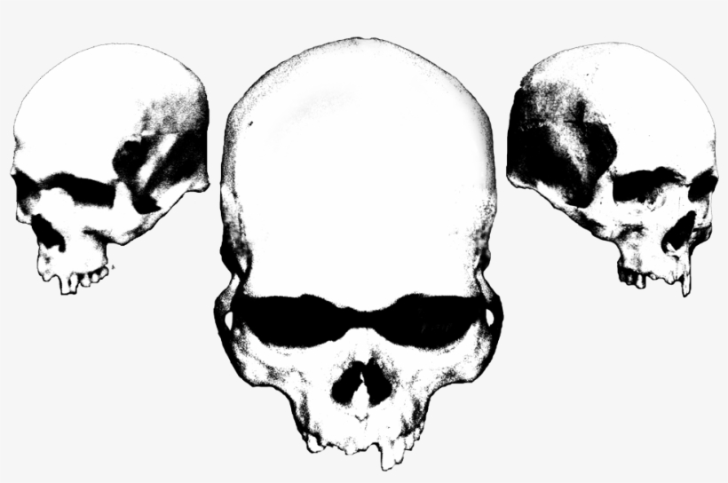 Three Skulls - Brainwashed; Compact Disc; Primary Artist - Brain Trauma, transparent png #950600