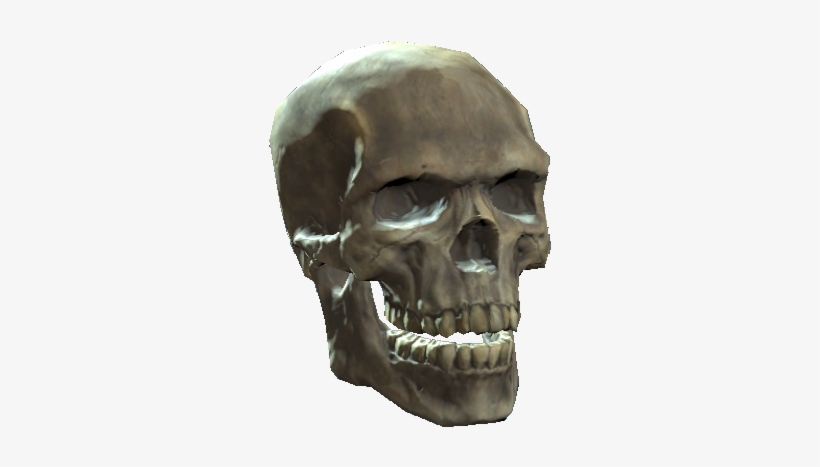 Skull - The Vault, transparent png #950678