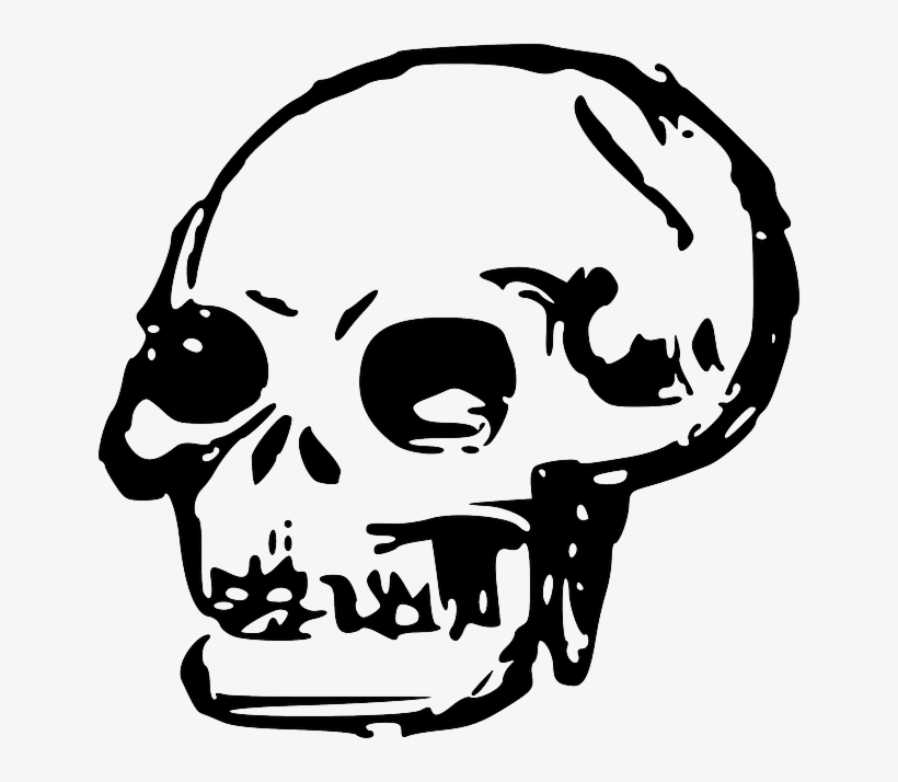 Head, Dead, Skull, Human, Bones, Skulls - Skull Clip Art Png, transparent png #950879