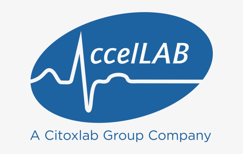 Accellab - Graphic Design, transparent png #951165