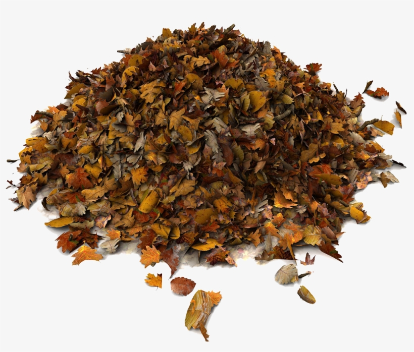 Rummage Sale Pile Of Leaves Png - Dried Leaves 3d Model, transparent png #952240