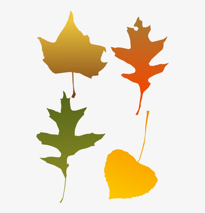 Autumn Leaves - Autumn Leaf Clip Art, transparent png #952434