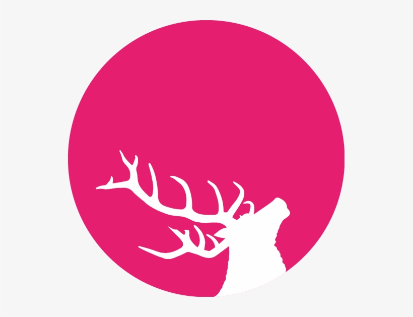Antler Png, transparent png #952457