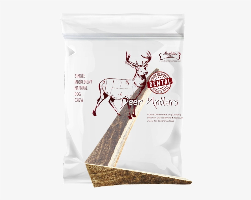 Antler, transparent png #952484