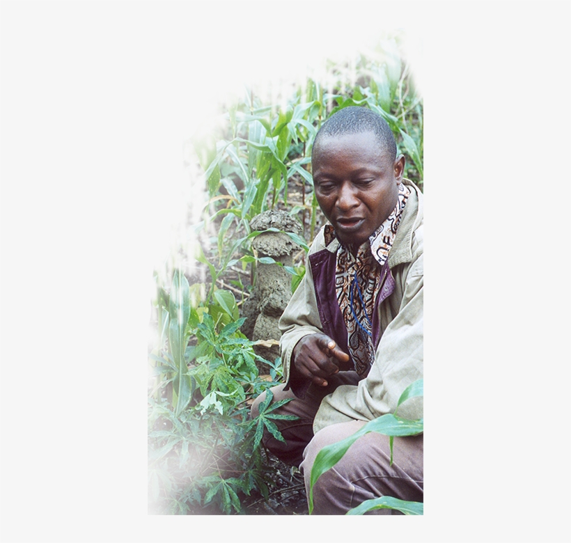 African Agribusiness And Trade Conference - Trade, transparent png #953430