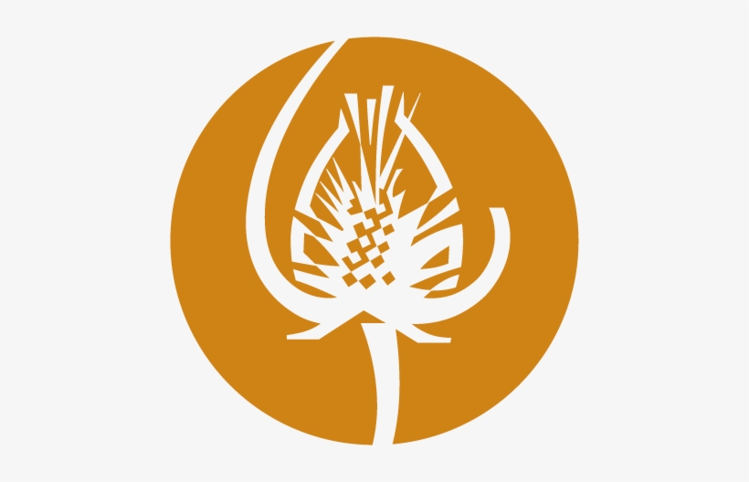 Exhibitions - ' - Richard King Mellon Foundation, transparent png #953703