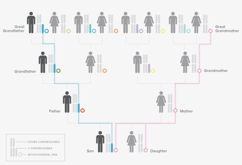 V Y Illustration New - Works Well With Others: An Outsider's Guide And Other, transparent png #953767