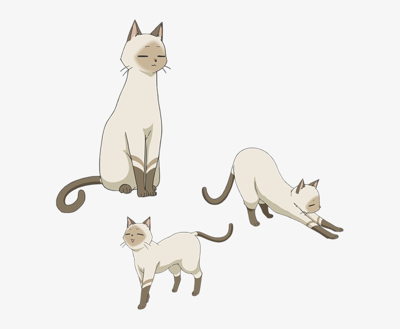 Kenny Body - Flying Witch Anime Cat, transparent png #953862