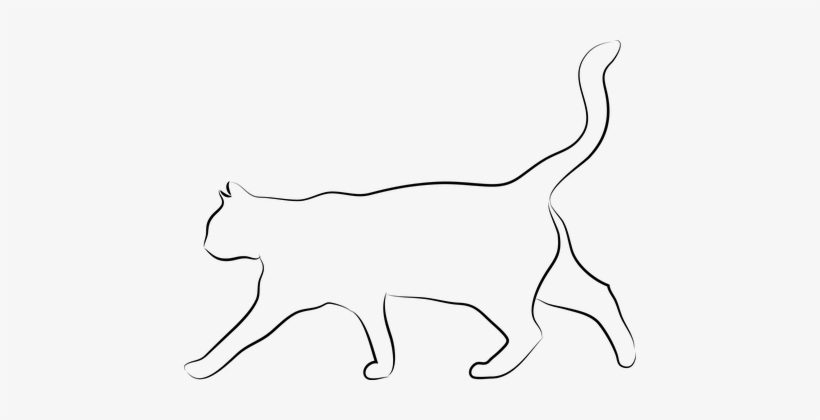 Cat Animal The Silhouette Animals Cat Cat - Cat White Silhouette, transparent png #954019
