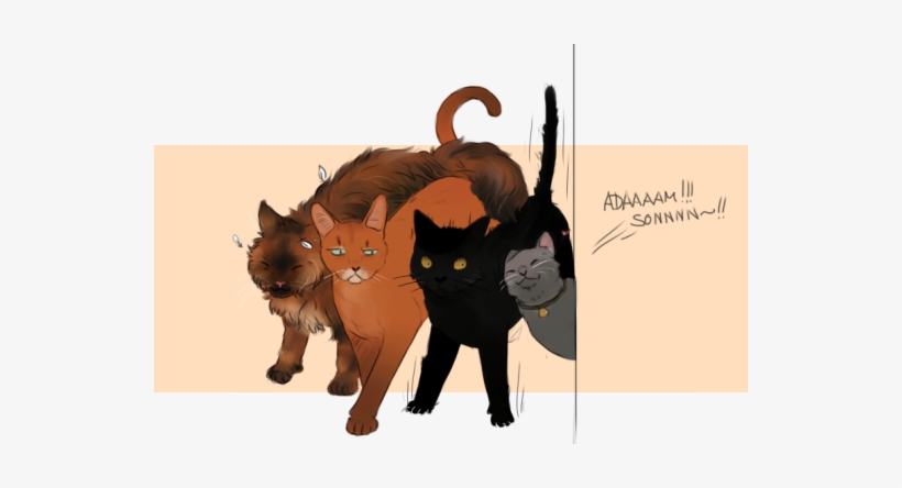 Furridah Malik , Likes To Play With Birds, Climbs Stuff - Black Cat, transparent png #954691