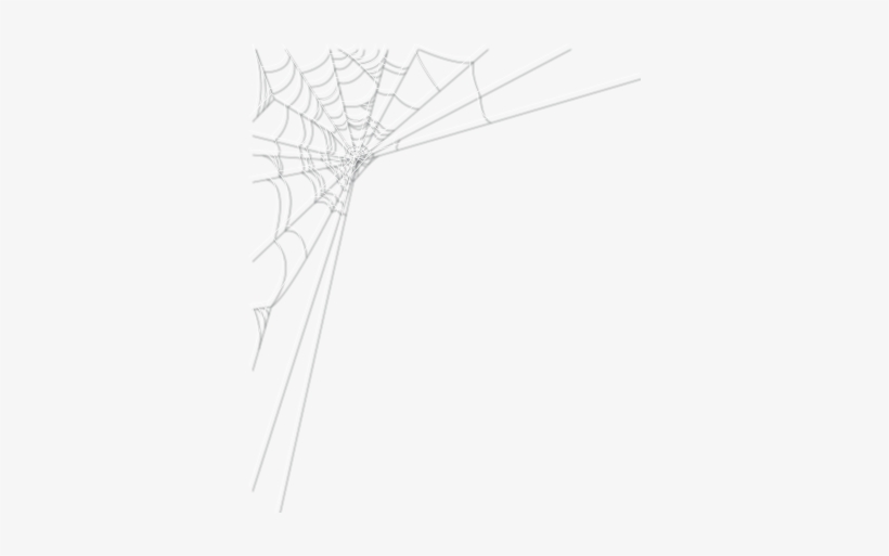 Cob Web Png Png Royalty Free Library - Spider Web, transparent png #954788