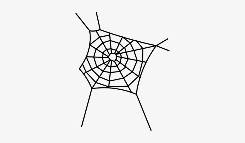 Spider Web - Most Downloaded - Vector - Spiderweb Graphic Png, transparent png #954875
