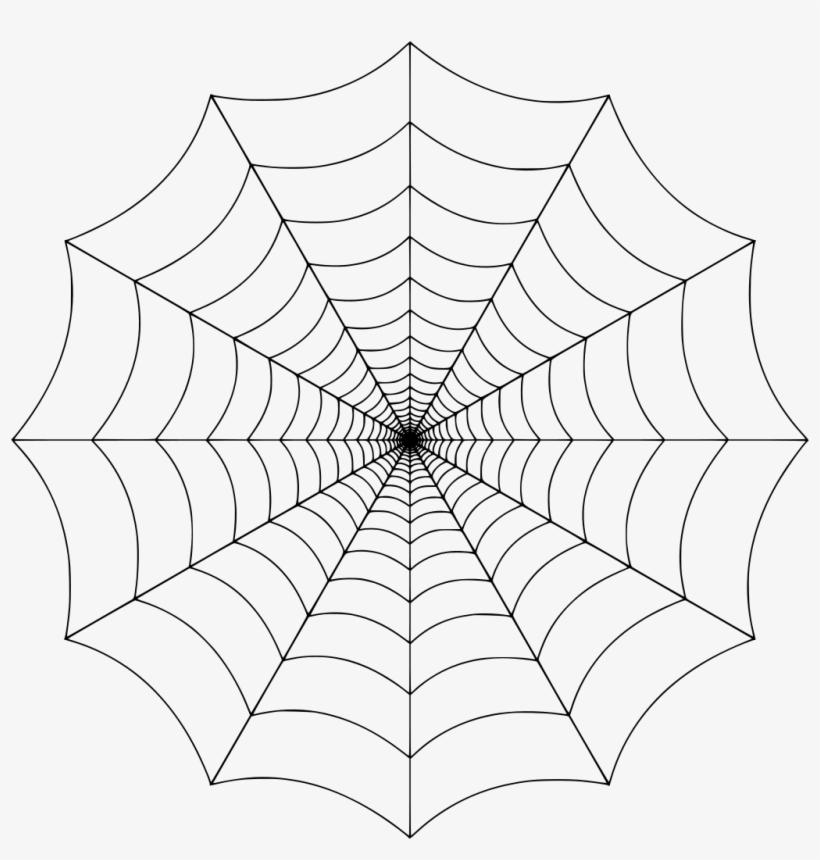 Download Png - Spider Web Transparent Background, transparent png #954948