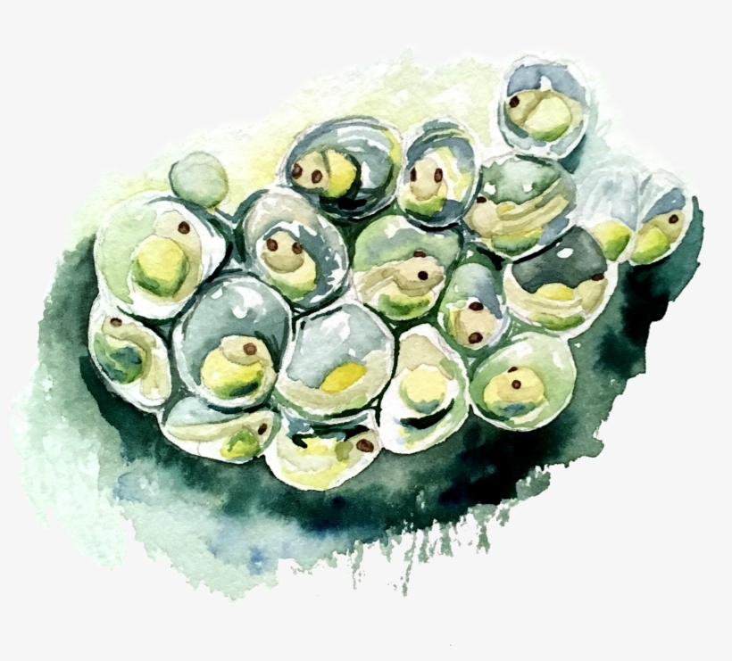 Gimbap, transparent png #954982