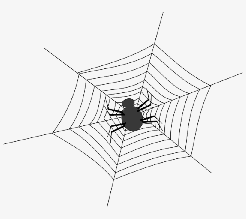 Mb Image/png - Spider Net Clipart Black And White, transparent png #955013