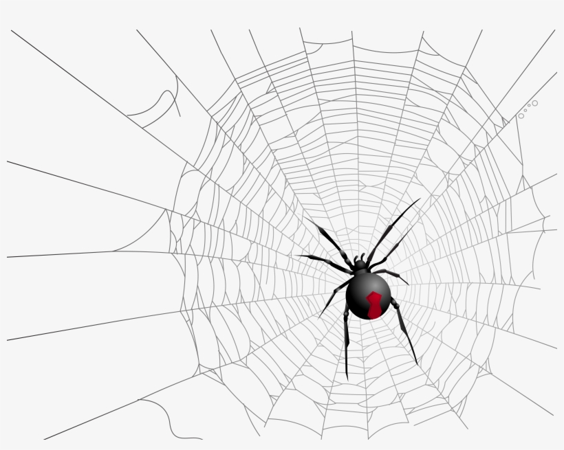 Halloween Transparent Net And Spider Picture - Spider, transparent png #955342