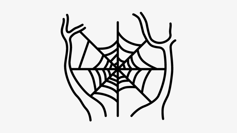 Cobweb Vector - Tela De Araña De Spiderman, transparent png #955379