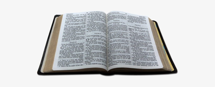 Featured image of post View 26 Biblia Abierta Hd