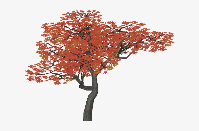 Wiki, transparent png #955826