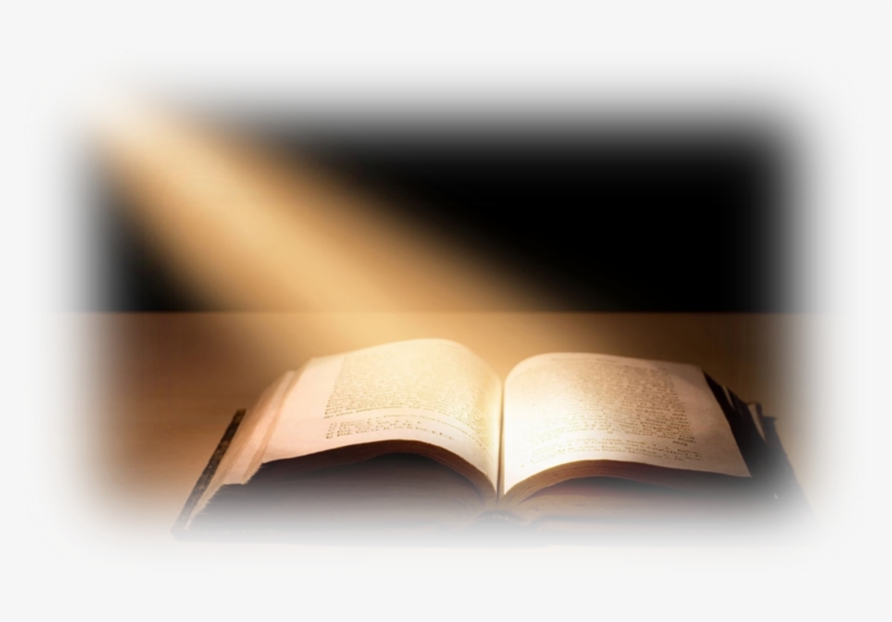 Bible Transparent Png Pictures - Open Bible Transparent Background, transparent png #955831