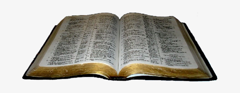 Open Bible - Open Bible Bible Hd, transparent png #955900