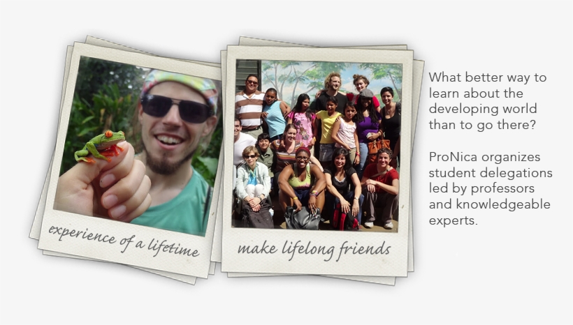 Student Delegations - Natural Foods, transparent png #955947