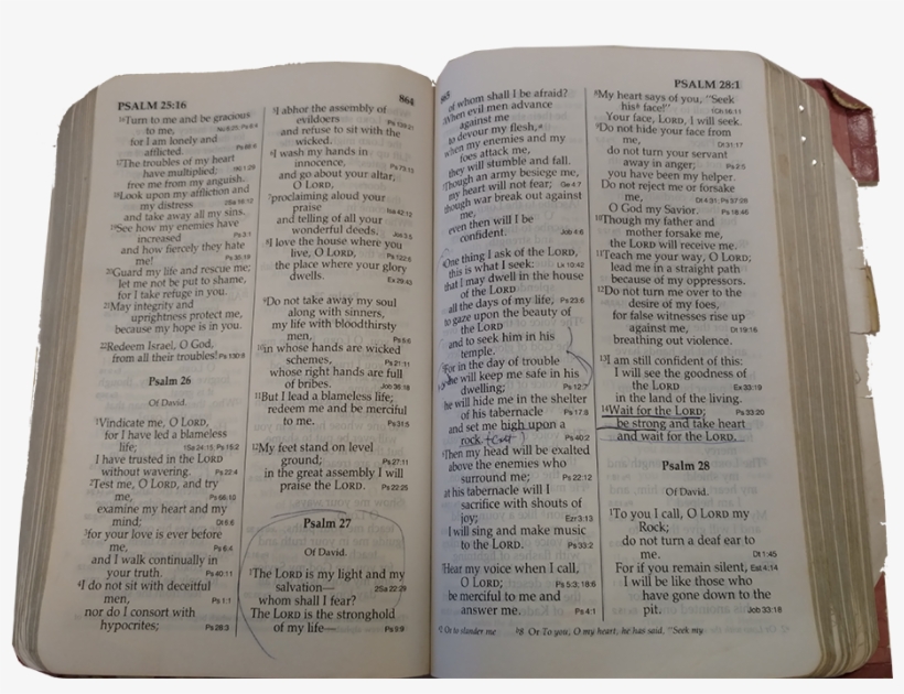 Some Of The Books In The Bible Near The End Were Separating, transparent png #956410