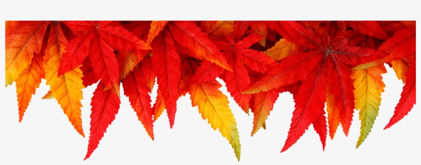 The Study Of Nature Is A Large, If Not The Only, Part - Autumn Background Free, transparent png #956484