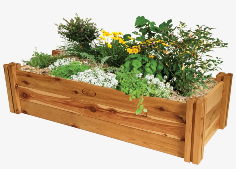 Raised-bed Gardening, transparent png #957349