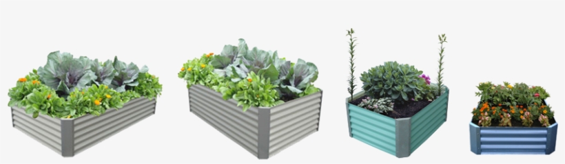 Vegetable Garden Png - Raised-bed Gardening, transparent png #957407