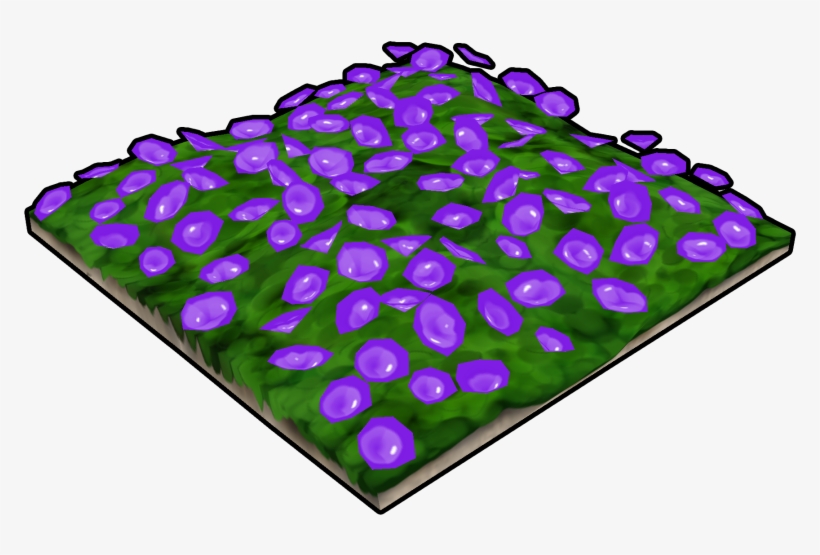 Purple Flower Bed - Wikia, transparent png #957411