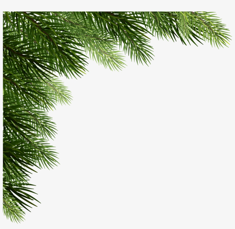 Picture Royalty Free Christmas Pine Png Clip Art Gallery - Corner Tree Png, transparent png #957529
