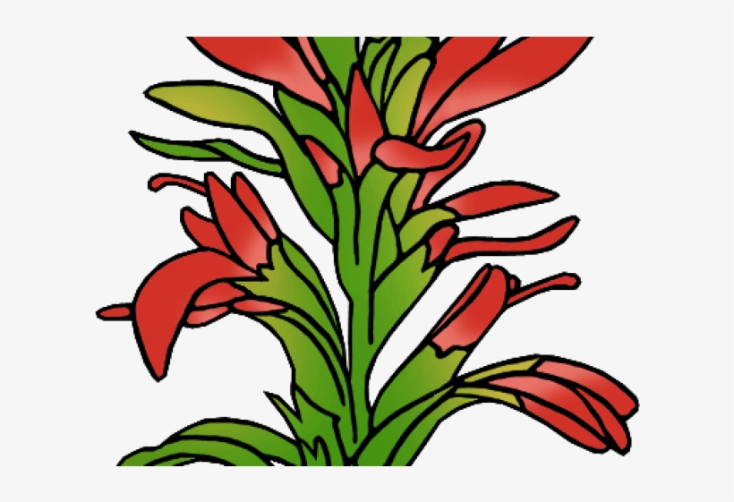 Indian Paintbrush Cliparts - Indian Paintbrush Outline, transparent png #957558