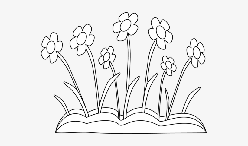 Clip Library Collection Of Flower Bed High Quality - Flowers Clipart Black And White, transparent png #957805